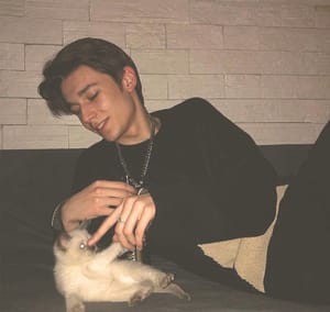 Ảnh đại diện Trần Thị B